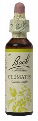 Bach Clematis Flower Remedy (20ml)
