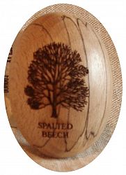 Spalted Beech Pebble.