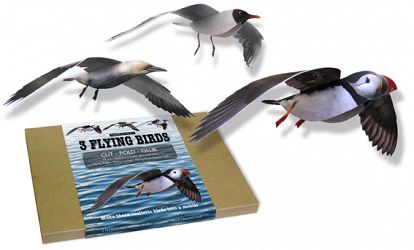 Three Flying Seabirds. Can be made into Mobiles.