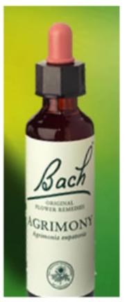 Nelson Bach Flower Remedies: Bach Agrimony Flower Remedy (20ml) available online here