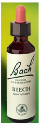 Nelson Bach Flower Remedies: Bach Beech Flower Remedy (20ml) available online here