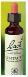 Nelson Bach Flower Remedies: Bach Centaury Flower Remedy (20ml) available online here