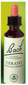 Nelson Bach Flower Remedies: Bach Cerato  Flower Remedy (20ml) available online here