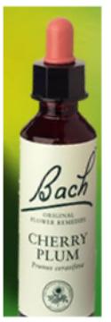 Nelson Bach Flower Remedies: Bach Cherry Plum Flower Remedy (20ml) available online here