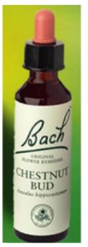 Nelson Bach Flower Remedies: Bach Chestnut Bud Flower Remedy (20ml) available online here