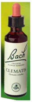 Nelson Bach Flower Remedies: Bach Clematis Flower Remedy (20ml) available online here
