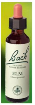 Nelson Bach Flower Remedies: Bach Elm Flower Remedy (20ml) available online here