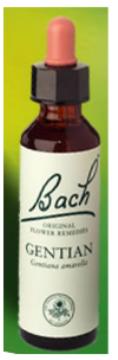 Nelson Bach Flower Remedies: Bach Gentian Flower Remedy (20ml) available online here