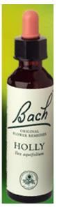 Nelson Bach Flower Remedies: Bach Holly Flower Remedy (20ml) available online here