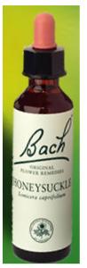 Nelson Bach Flower Remedies: Bach Honeysuckle Flower Remedy (20ml) available online here