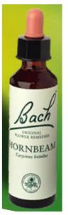 Nelson Bach Flower Remedies: Bach Hornbeam Flower Remedy (20ml) available online here