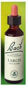 Nelson Bach Flower Remedies: Bach Larch Flower Remedy (20ml) available online here