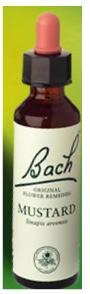 Nelson Bach Flower Remedies: Bach Mustard Flower Remedy (20ml) available online here