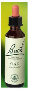 Nelson Bach Flower Remedies: Bach Oak Flower Remedy (20ml) available online here