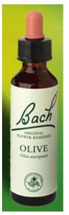 Nelson Bach Flower Remedies: Bach Olive Flower Remedy (20ml) available online here