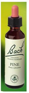 Nelson Bach Flower Remedies: Bach Pine Flower Remedy (20ml) available online here