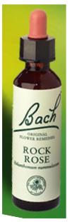 Nelson Bach Flower Remedies: Bach Rock Rose Flower Remedy (20ml) available online here