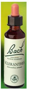 Nelson Bach Flower Remedies: Bach Scleranthus Flower Remedy (20ml) available online here