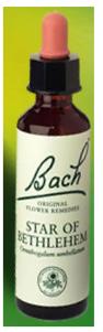 Nelson Bach Flower Remedies: Bach Star of Bethlehem Flower Remedy (20ml) available online here