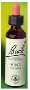 Nelson Bach Flower Remedies: Bach Vine Flower Remedy (20ml) available online here