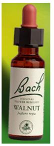 Nelson Bach Flower Remedies: Bach Walnut Flower Remedy (20ml) available online here