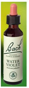 Nelson Bach Flower Remedies: Bach Water Violet Flower Remedy (20ml) available online here