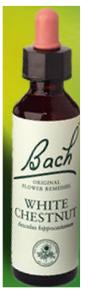 Nelson Bach Flower Remedies: Bach White Chestnut Flower Remedy (20ml) available online here