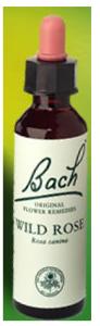 Nelson Bach Flower Remedies: Bach Wild Rose Flower Remedy (20ml) available online here