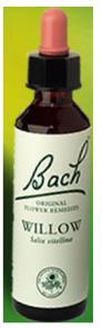 Nelson Bach Flower Remedies: Bach Willow  Flower Remedy (20ml) available online here