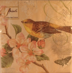 Ambiente Paper Napkins: Bird on Blossom three ply Paper Napkins (20) available online here