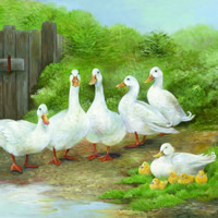 Ambiente Paper Napkins: White Geese Design. Paper Serviettes or Napkins (20) available online here