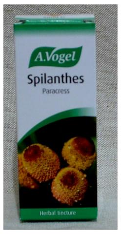 A. Vogel-Bioforce: Spilanthes 50ml available online here
