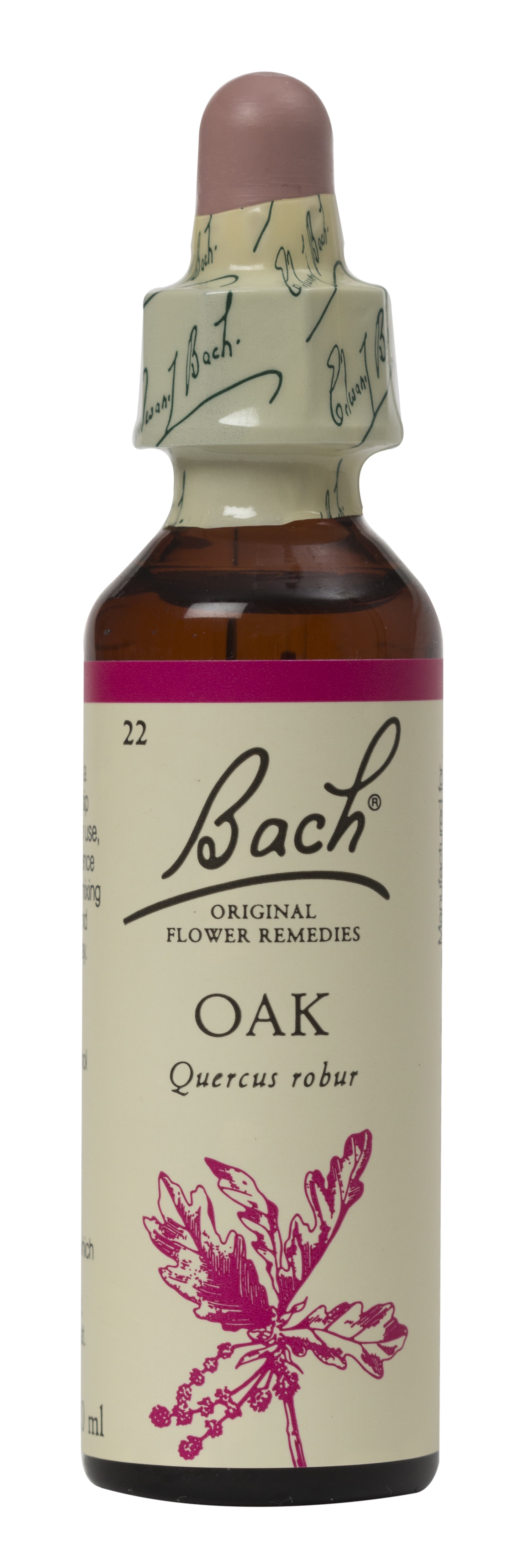 The Tree House Shop; Bach Oak Flower Remedy 20ml