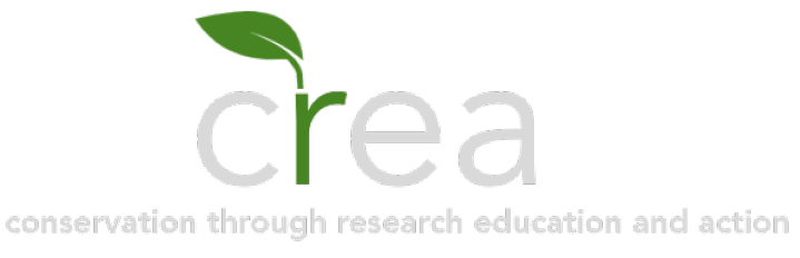 CREA logo