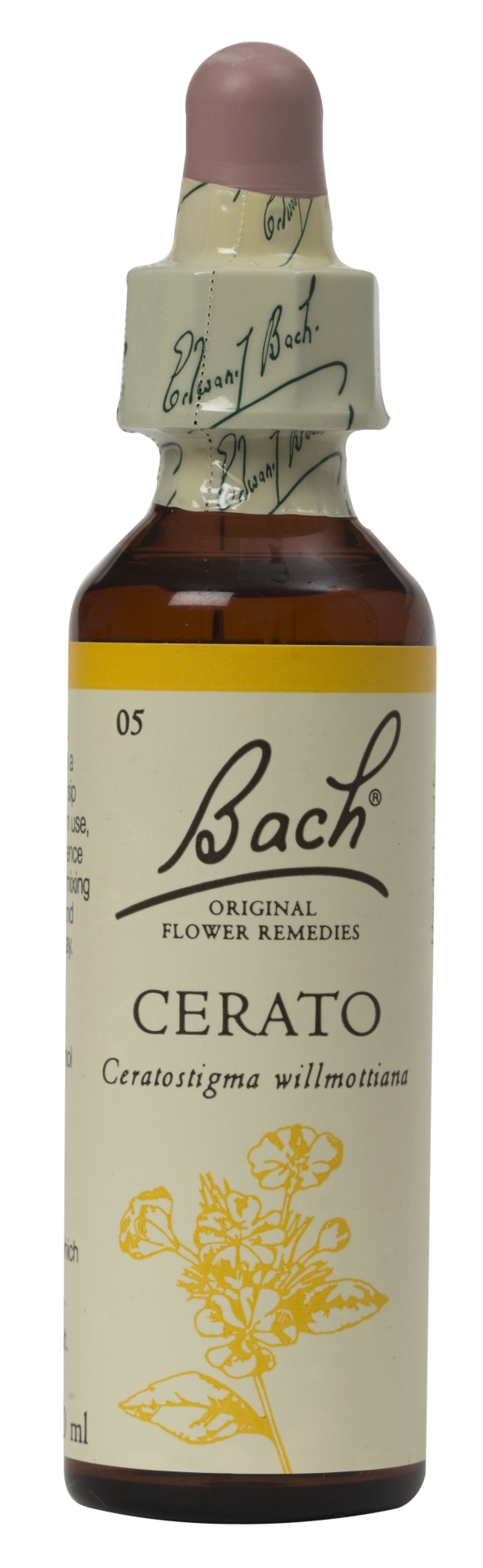 Nelson Bach Flower Remedies: Bach Cerato  Flower Remedy (20ml) available online here