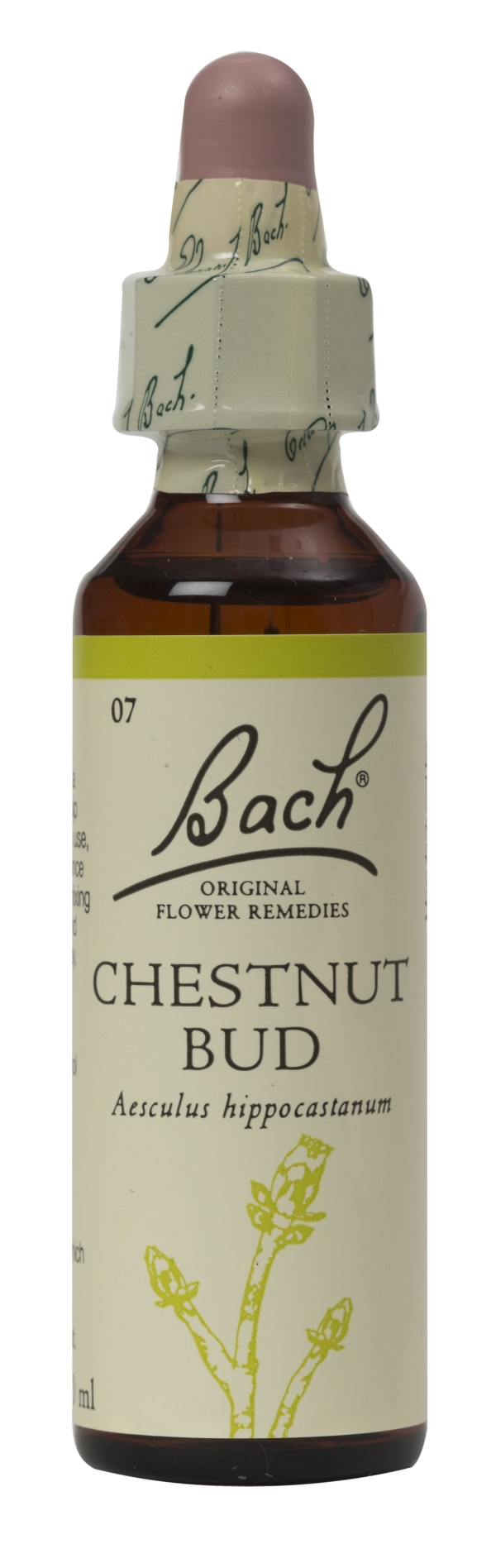 Nelson Bach Flower Remedies: Bach Chestnut Bud Flower Remedy (20ml) available online here