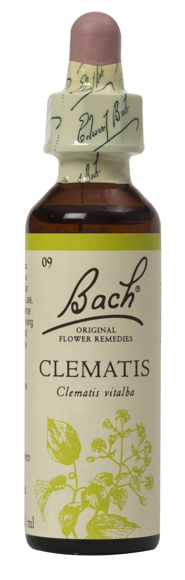 Nelson Bach Flower Remedies: Bach Clematis Flower Remedy (20ml) available online here