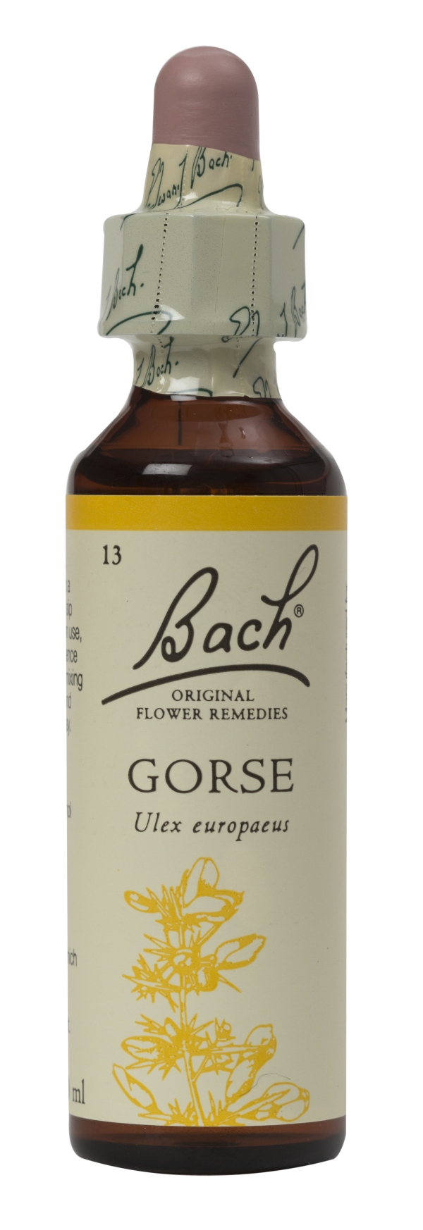 Nelson Bach Flower Remedies: Bach Gorse Flower Remedy (20ml) available online here