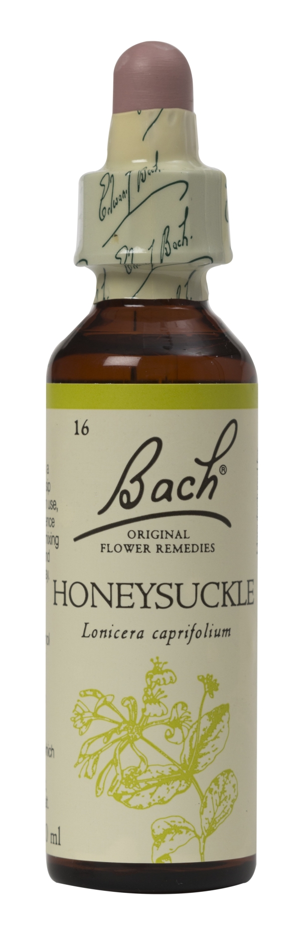 Nelson Bach Flower Remedies: Bach Honeysuckle Flower Remedy (20ml) available online here