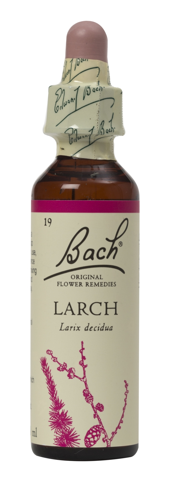 Nelson Bach Flower Remedies: Bach Larch Flower Remedy (20ml) available online here