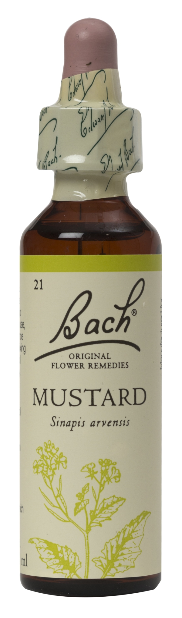 Nelson Bach Flower Remedies: Bach Mustard Flower Remedy (20ml) available online here