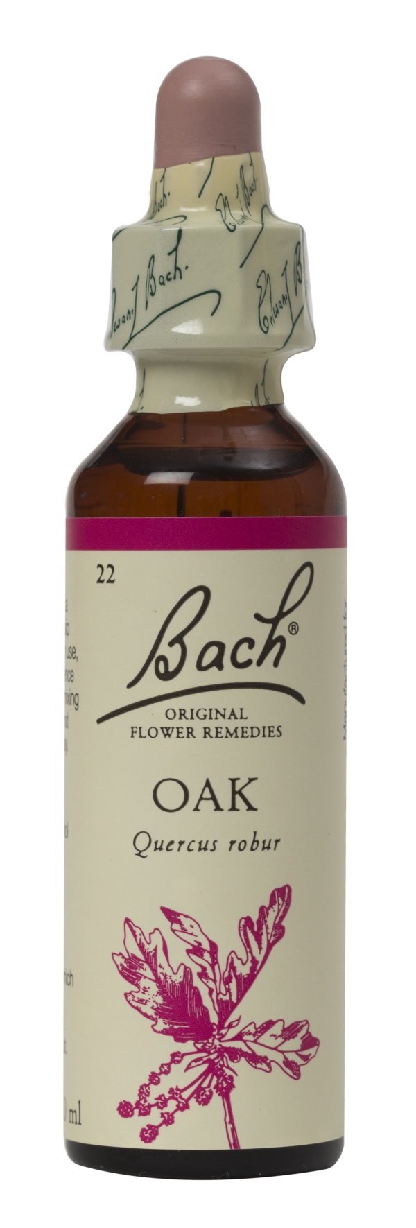 Nelson Bach Flower Remedies: Bach Oak Flower Remedy (20ml) available online here