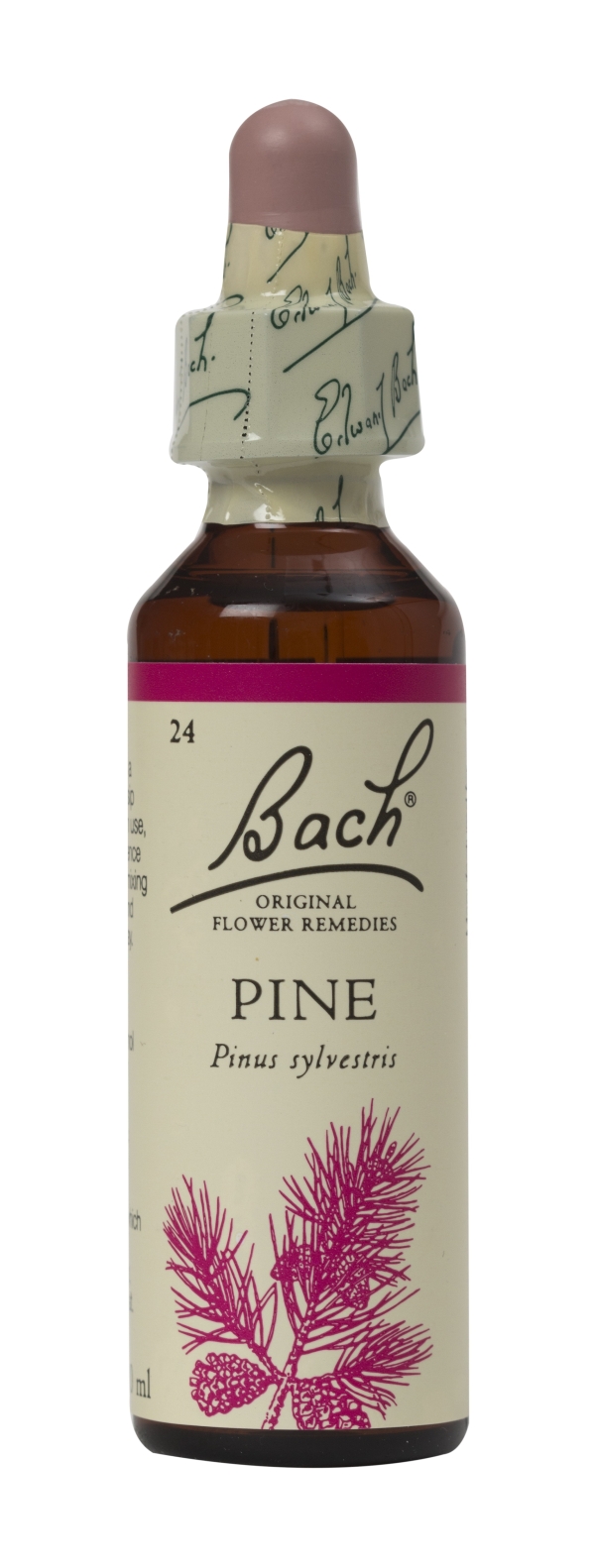 Nelson Bach Flower Remedies: Bach Pine Flower Remedy (20ml) available online here