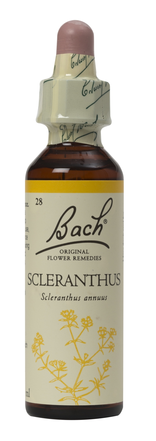 Nelson Bach Flower Remedies: Bach Scleranthus Flower Remedy (20ml) available online here