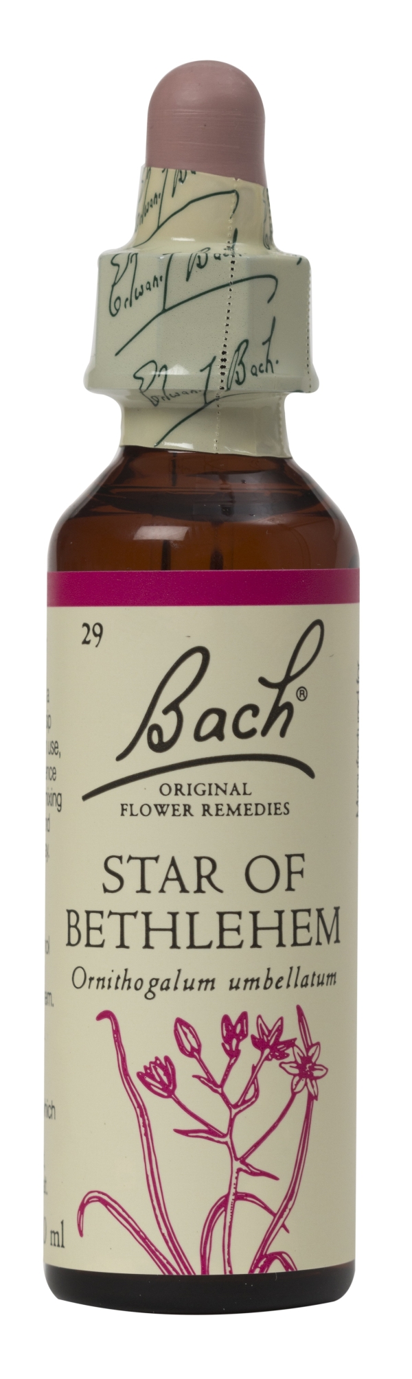 Nelson Bach Flower Remedies: Bach Star of Bethlehem Flower Remedy (20ml) available online here