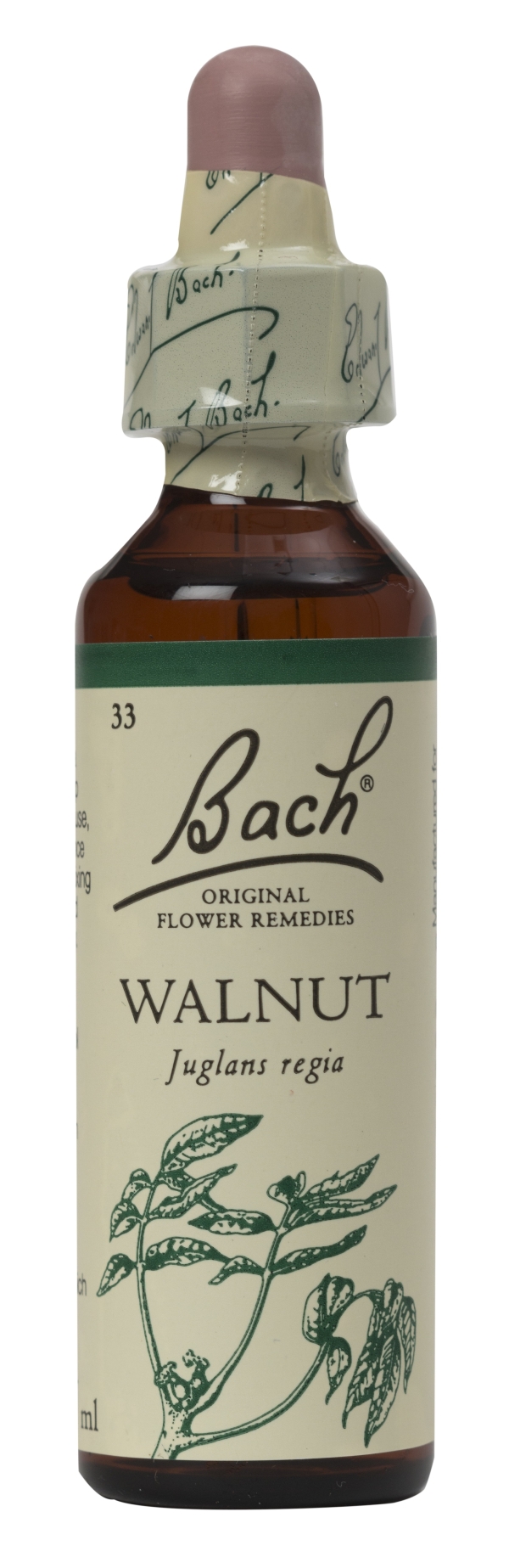 Nelson Bach Flower Remedies: Bach Walnut Flower Remedy (20ml) available online here
