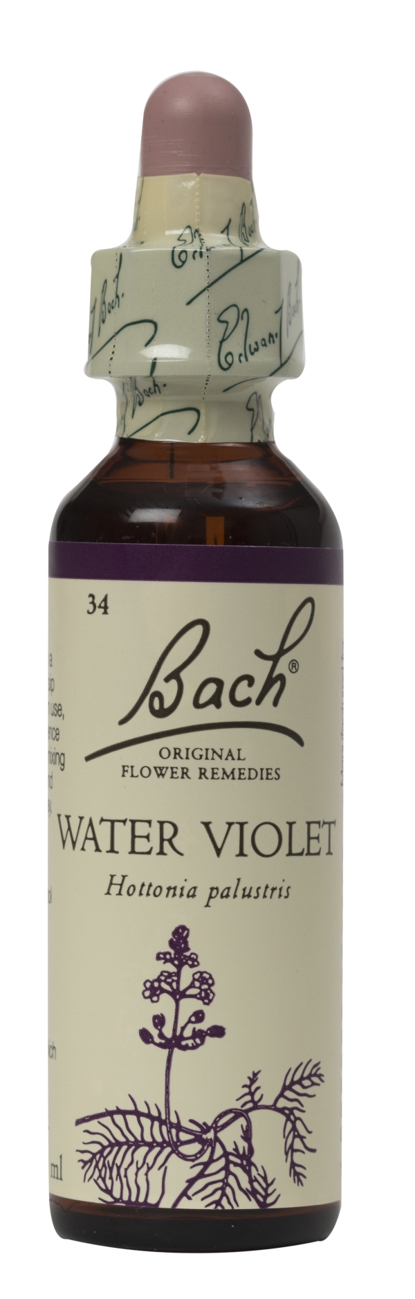 Nelson Bach Flower Remedies: Bach Water Violet Flower Remedy (20ml) available online here