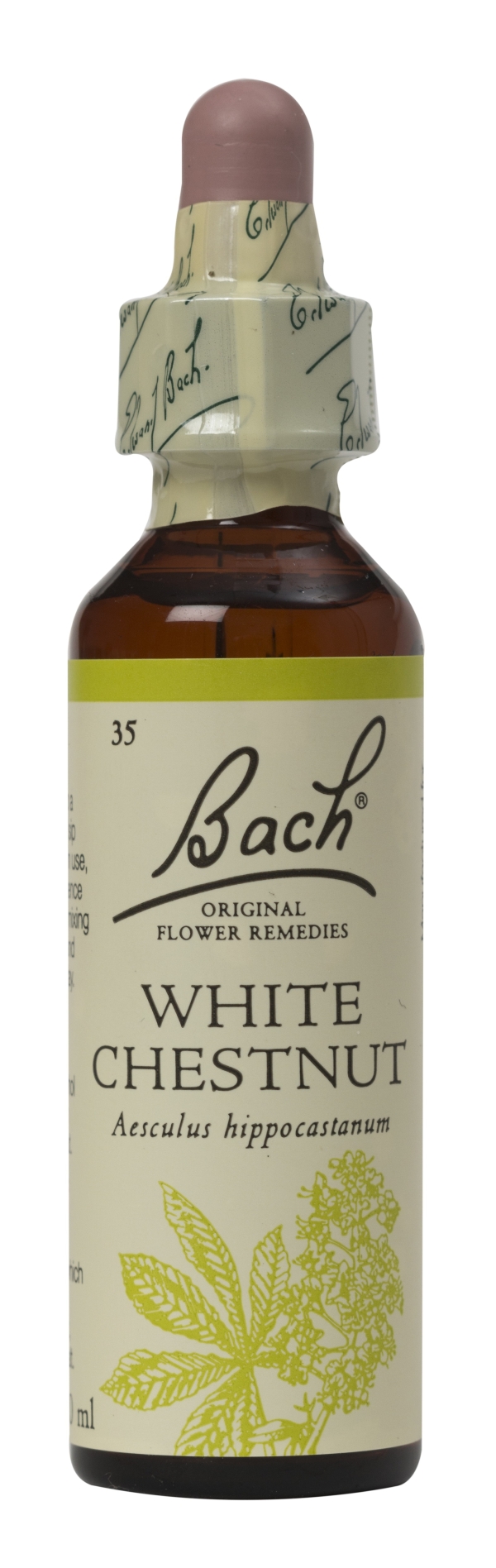 Nelson Bach Flower Remedies: Bach White Chestnut Flower Remedy (20ml) available online here
