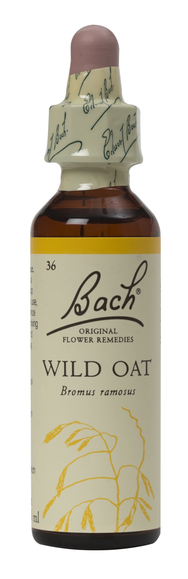 Nelson Bach Flower Remedies: Bach Wild Oat Flower Remedy (20ml) available online here