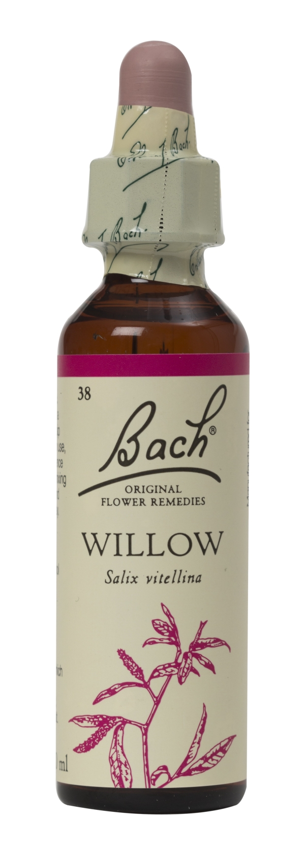 Nelson Bach Flower Remedies: Bach Willow  Flower Remedy (20ml) available online here